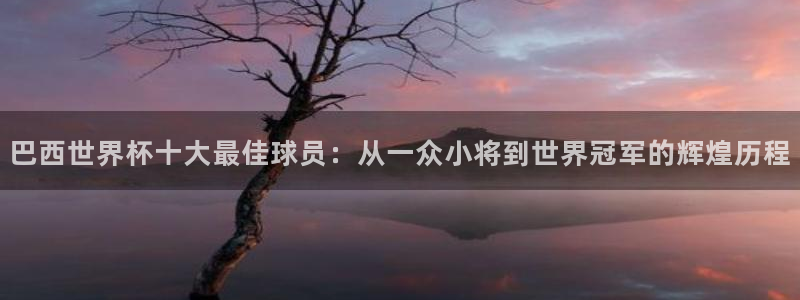 澳门世界杯直播：巴西世界杯十大最佳球员：从一众小将到世界冠军的辉煌历程