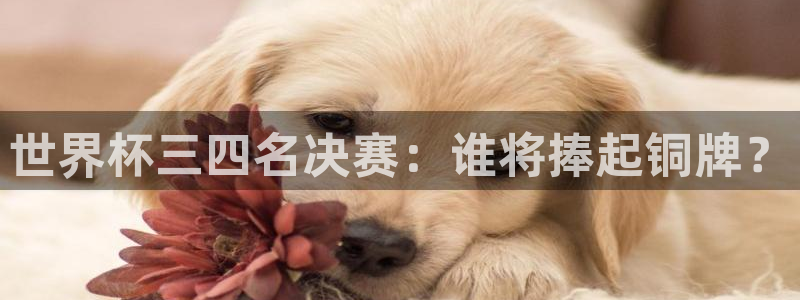 世界杯预选赛亚洲区赛程：世界杯三四名决赛：谁将捧起铜牌？