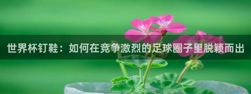 世界杯足球直播：世界杯钉鞋：如何在竞争激烈的足球圈子里脱颖而出