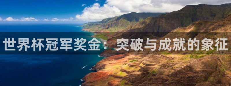 世界杯 赛程：世界杯冠军奖金：突破与成就的象征