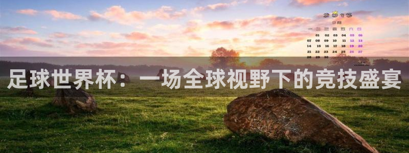2026年世界杯直播平台：足球世界杯：一场全球视野下的竞技盛宴