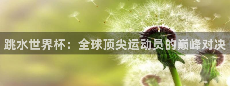 中国 世界杯：跳水世界杯：全球顶尖运动员的巅峰对决