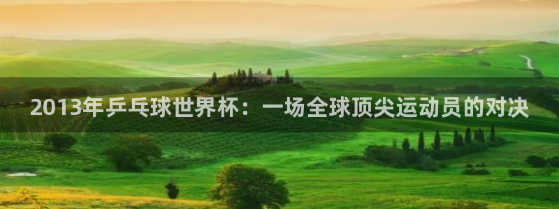 澳门世界杯直播：2013年乒乓球世界杯：一场全球顶尖运动员的对决