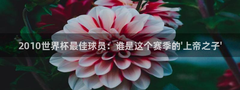 女足世界杯赛程:2010世界杯最佳球员:谁是这个赛季的\'上帝之子\'