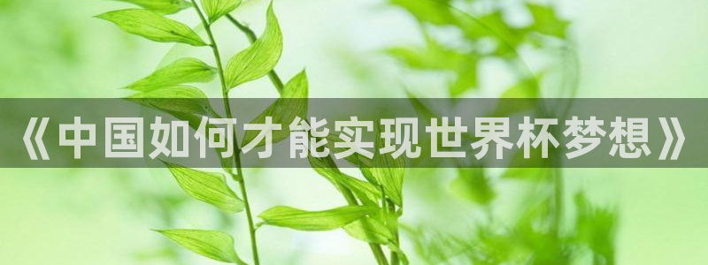 世界直播：《中国如何才能实现世界杯梦想》