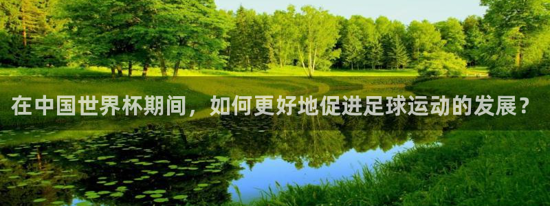 中国 世界杯:在中国世界杯期间,如何更好地促进足球运动的发展?