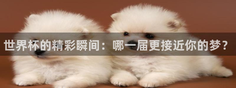 2026世预赛赛程表:世界杯的精彩瞬间:哪一届更接近你的梦?