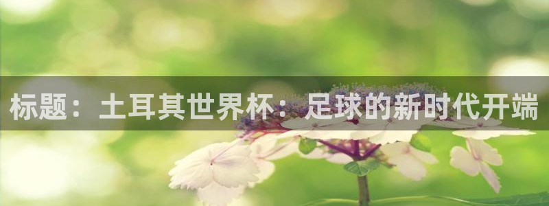 世界杯预选赛亚洲区积分榜：标题：土耳其世界杯：足球的新时代开端