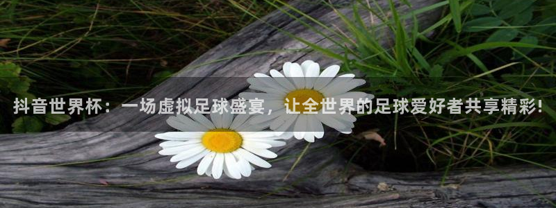 世界杯48支球队赛制:抖音世界杯:一场虚拟足球盛宴,让全世界的足球爱好者共享精彩!