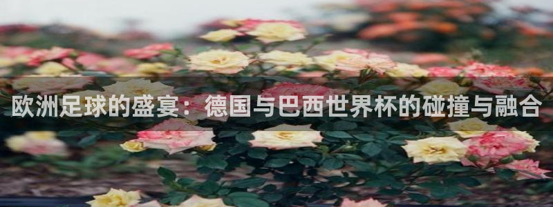 世界杯球队排名:欧洲足球的盛宴:德国与巴西世界杯的碰撞与融合
