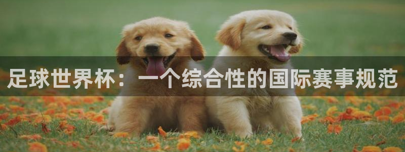 2026世预赛赛程:足球世界杯:一个综合性的国际赛事规范